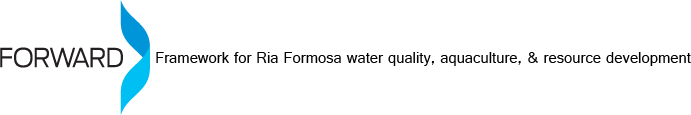 logo4